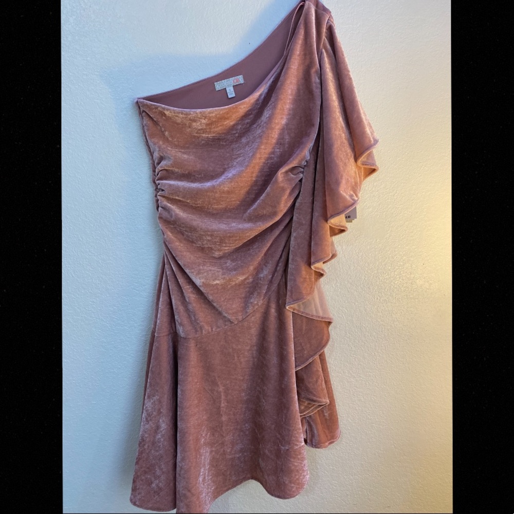 Velvet pink dress